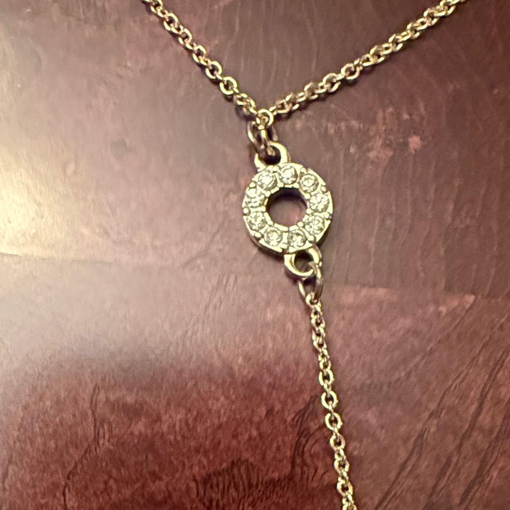 Ann Taylor Gold Lariat Necklace - Picture 3 of 5
